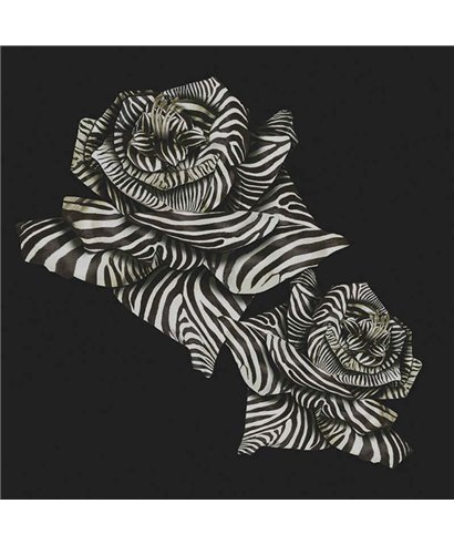 Roberto Cavalli 8 - RC19115