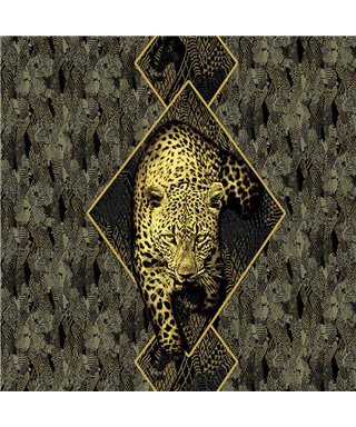 Roberto Cavalli 8 - RC19119
