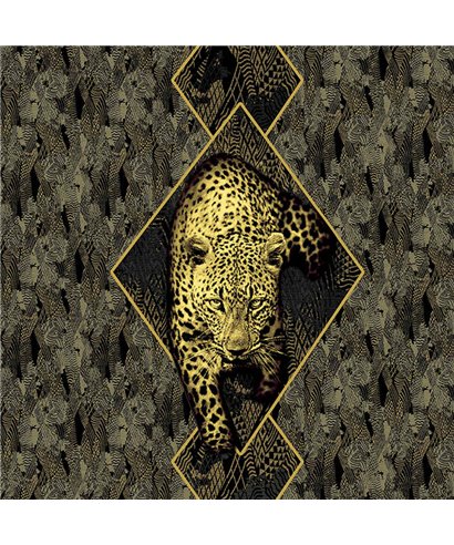 Roberto Cavalli 8 - RC19119