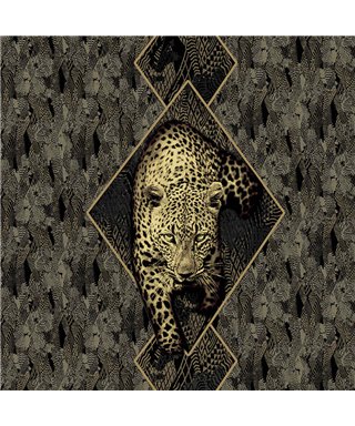 Roberto Cavalli 8 - RC19120