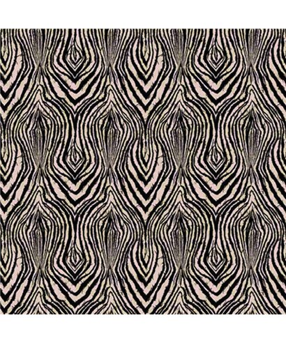 Roberto Cavalli 8 - RC19125