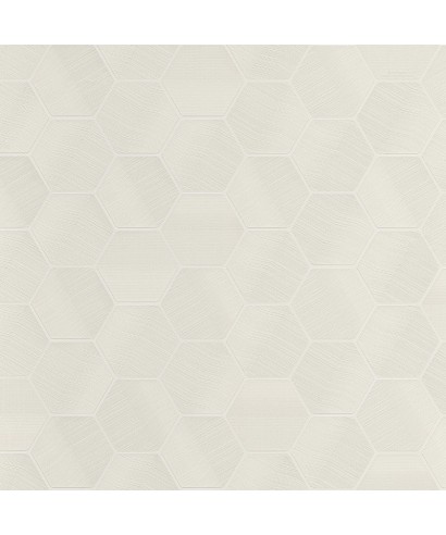 Lamborghini 3 Z12824