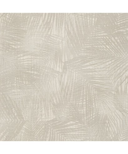 Lamborghini 3 Z12844