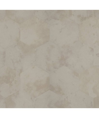 Philipp Plein Z12800