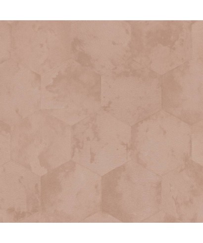 Philipp Plein Z12800