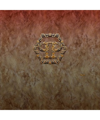 Philipp Plein Z80071