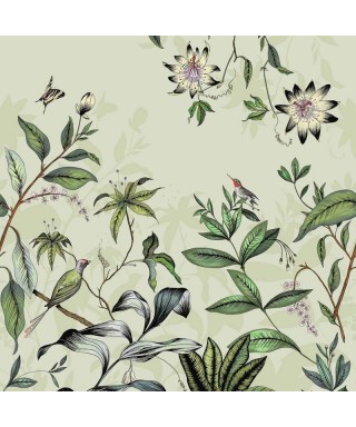 PASSIFLORE 87086107