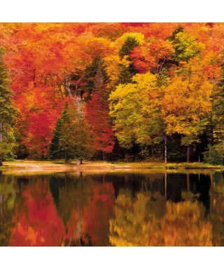 AUTUMN 87103813