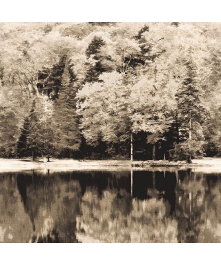 AUTUMN 87109514