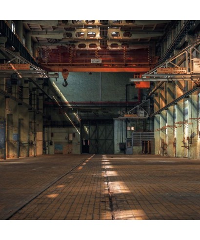 BEAUTY FULL IMAGE LOST IN THE FACTORY 85049525