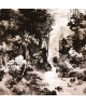 PAVILLON D'OR_M 89462903