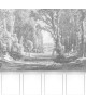 BALADE AU PARC 87989209
