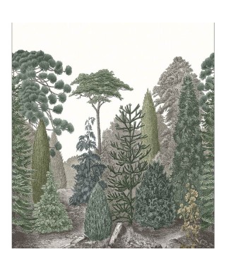 PINEDE 87457201