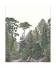 PINEDE 87457202