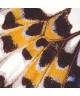 MARIPOSA_M 87323418