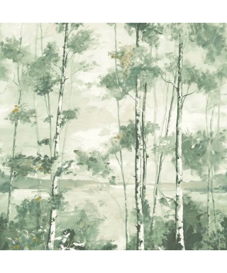 FORET BOREALE 89567803