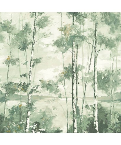 FORET BOREALE 89567803