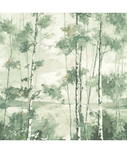 FORET BOREALE 89567804