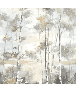FORET BOREALE 89569203