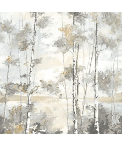 FORET BOREALE 89569203