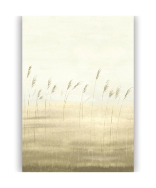 JONC DES DUNES 200082703