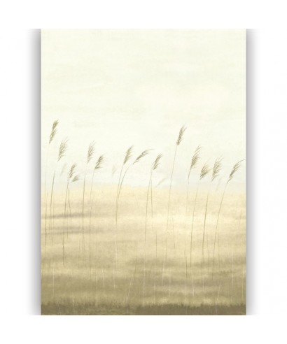 JONC DES DUNES 200082703