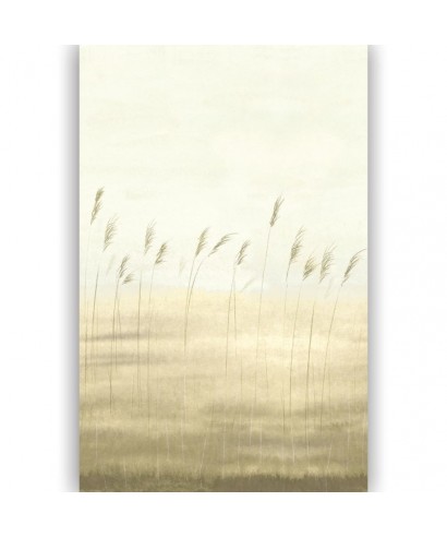 JONC DES DUNES 200082704