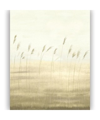 JONC DES DUNES 200082705