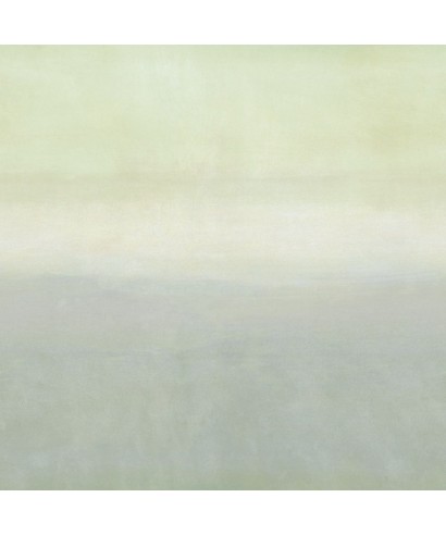 AURORA 88967152