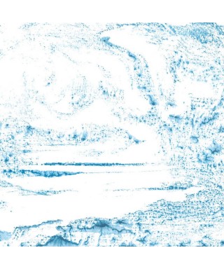 BLOTTER 88896111