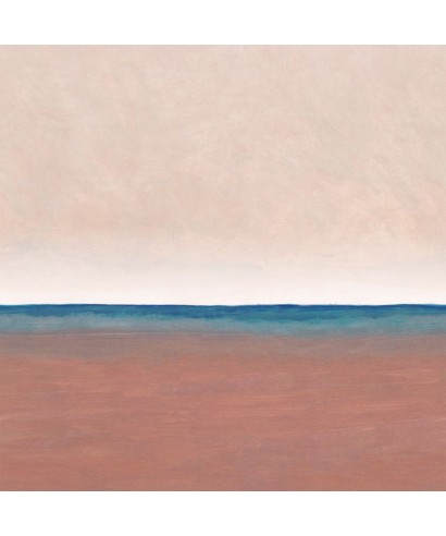 LAGUNA COLORADA 88928204