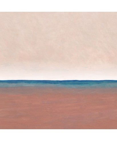 LAGUNA COLORADA 88928205