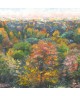INDIAN SUMMER 88973703