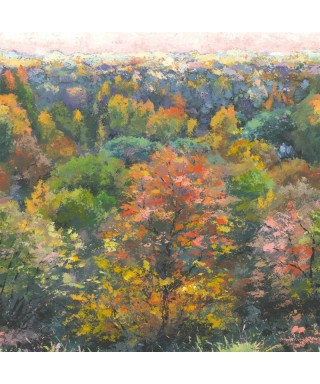 INDIAN SUMMER 88973704