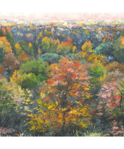 INDIAN SUMMER 88973704