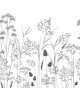 CAPILLARIS 89149403