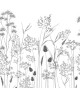 CAPILLARIS 89149405