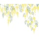 MIMOSA 89172203