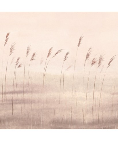 JONC DES DUNES 200081503