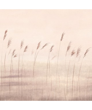 JONC DES DUNES 200081504
