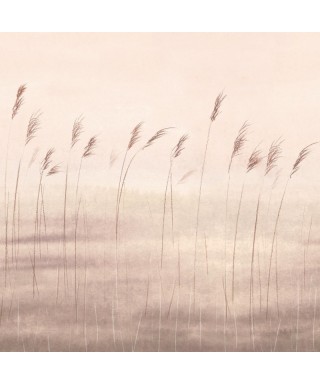JONC DES DUNES 200081505