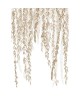 MURMURES D AUTOMNE 200152703