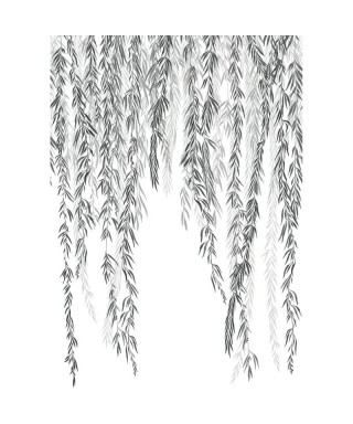 MURMURES D AUTOMNE 200159403