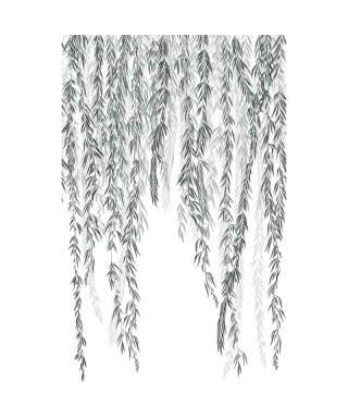 MURMURES D AUTOMNE 200159404