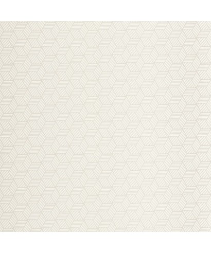 CONNEXIONS 89940012