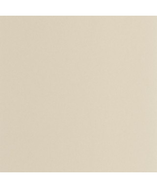 PIGMENTS 200331212