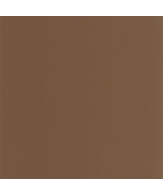 PIGMENTS 200332909