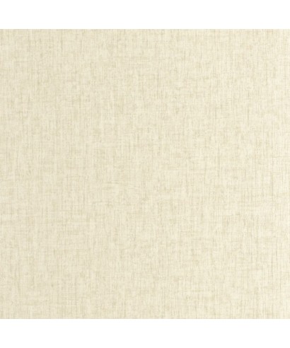 SCRIBE 89751012