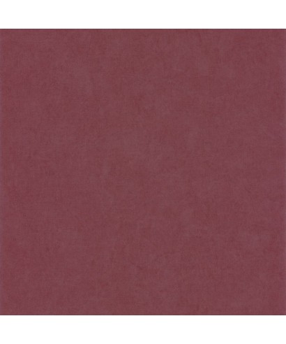 NATSU WASHI 82188435