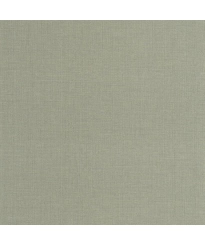 SMITH 200569255